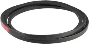 51gncYzByZL. AC SX679 1 300x148